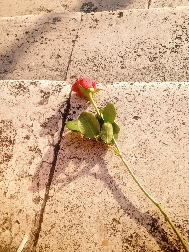 Processed with VSCO with c1 preset